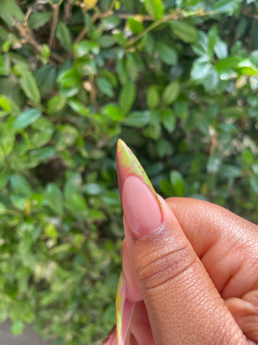 Shag and scoob π€π