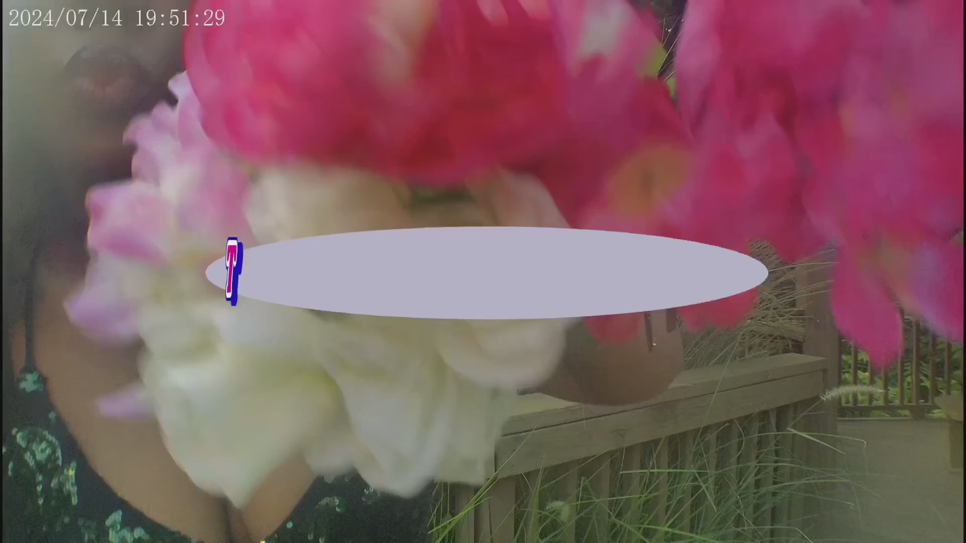 Load video: 